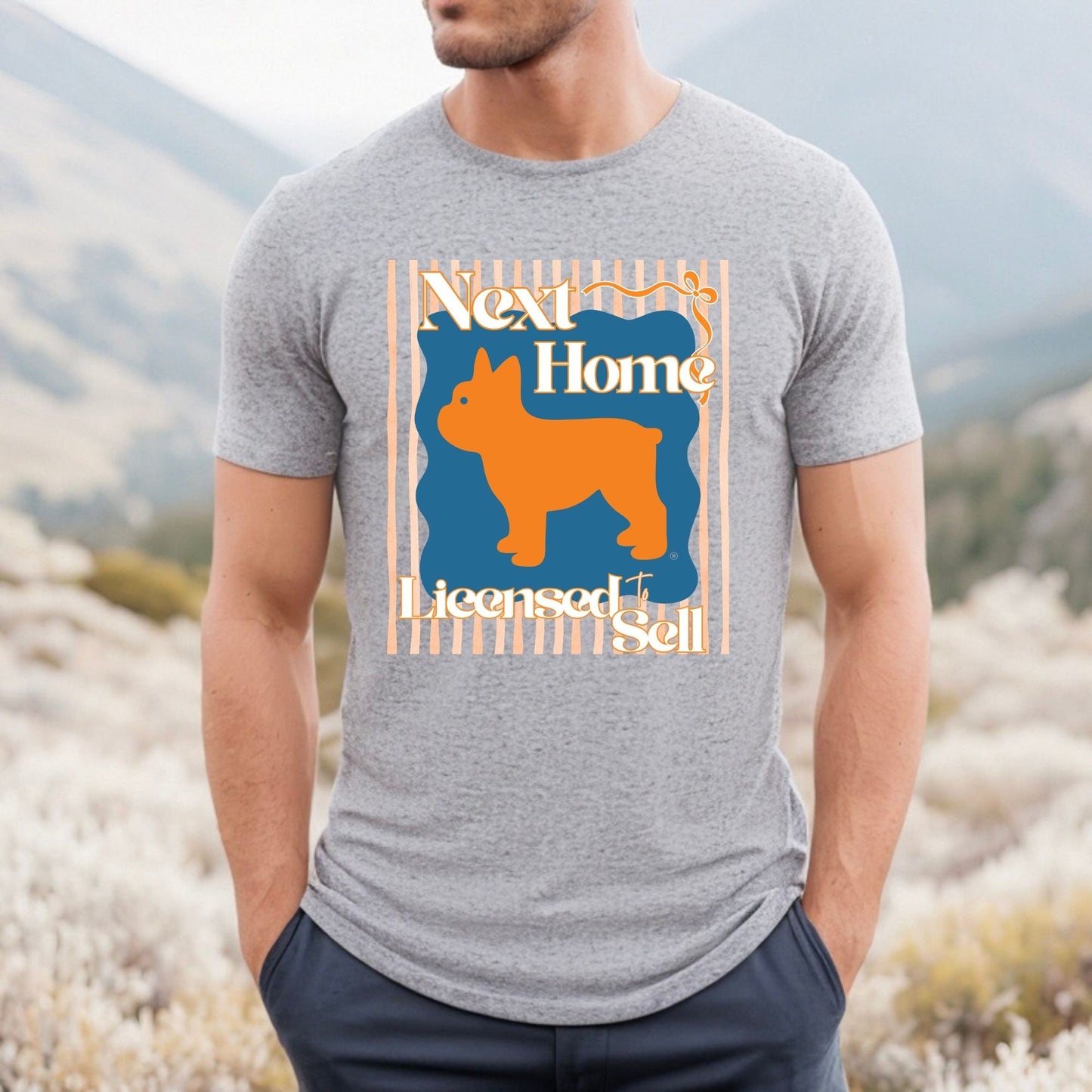Next Home Licensed to Sell