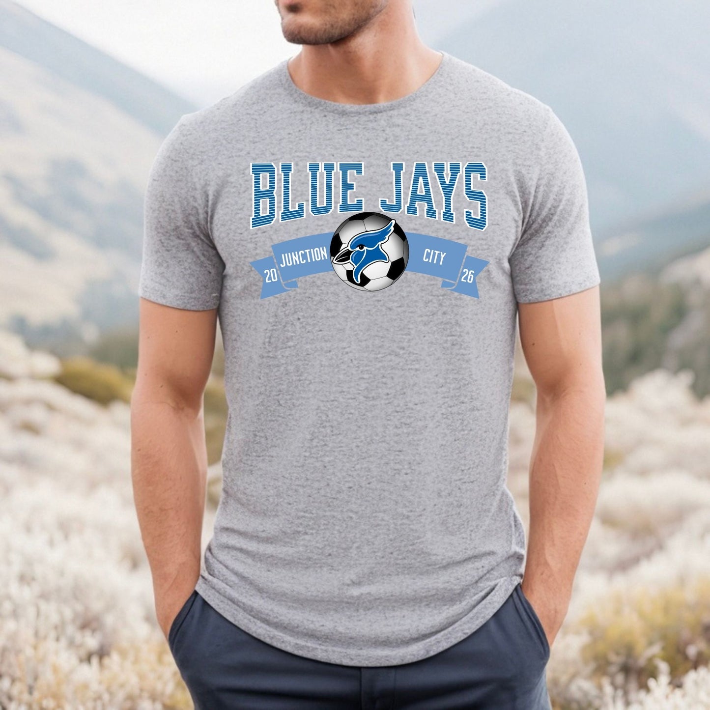 Blue Jays baseball