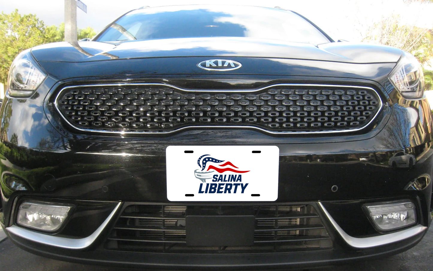 Liberty License Plate